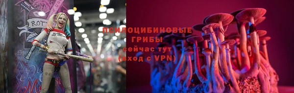 дживик Арсеньев