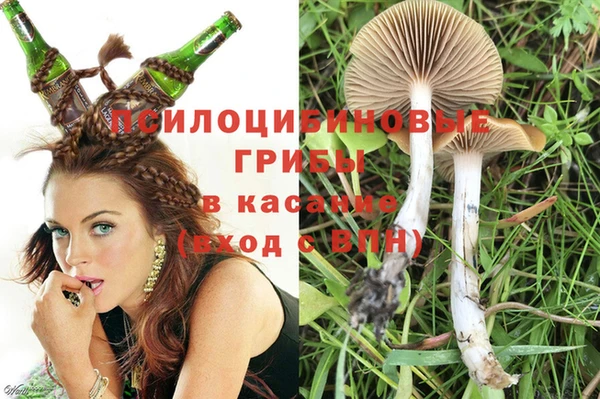 прущая мука Армянск
