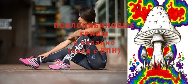 дживик Арсеньев