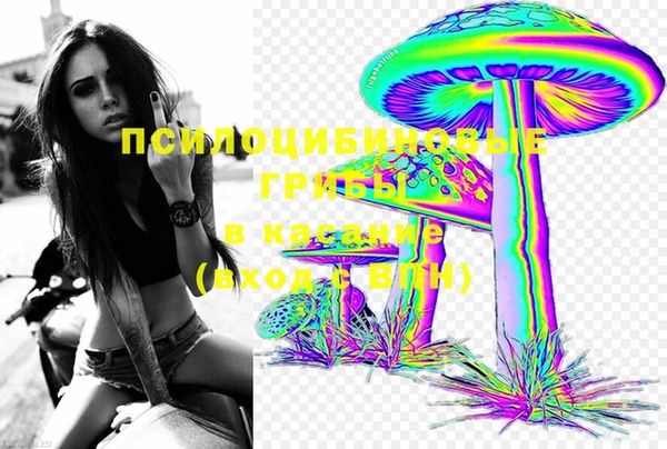 прущая мука Армянск