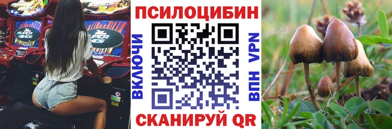 Галлюциногенные грибы MAGIC MUSHROOMS  Татарск 